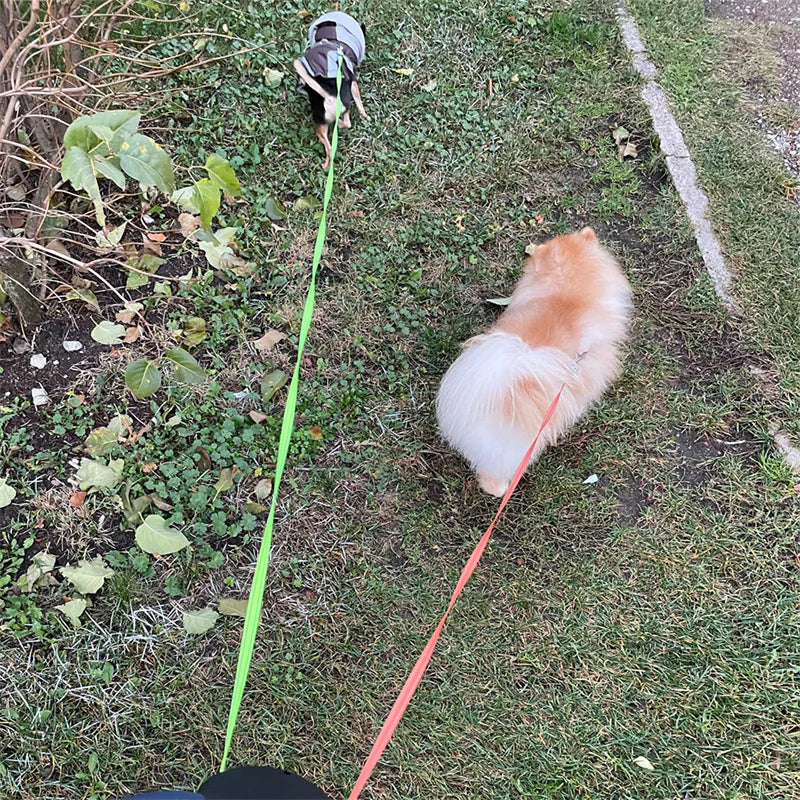 PawPair Dual Leash