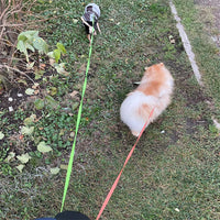 PawPair Dual Leash